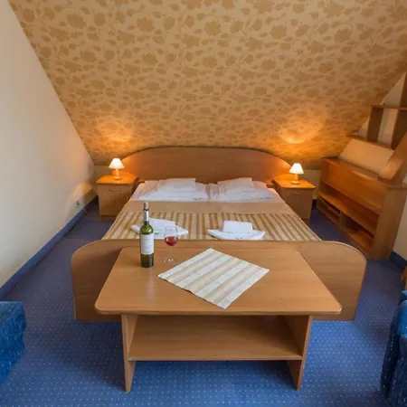 Osrodek Fian - I Konferencje W Centrum Panzió 3*