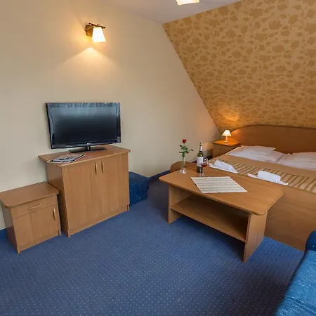 Osrodek Fian - I Konferencje W Centrum Panzió 3*